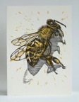 nc-HoneybeeBlack